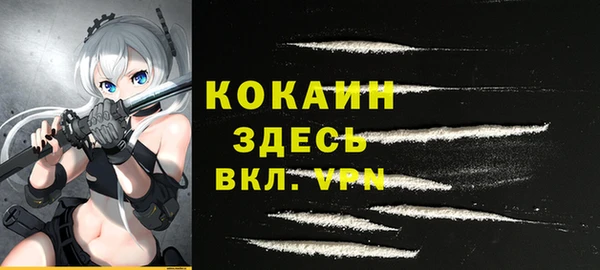 PSILOCYBIN Михайлов