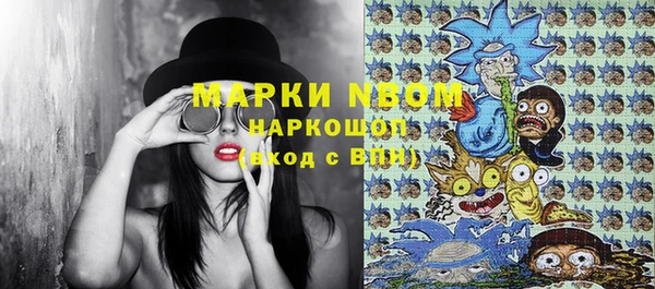 PSILOCYBIN Михайлов