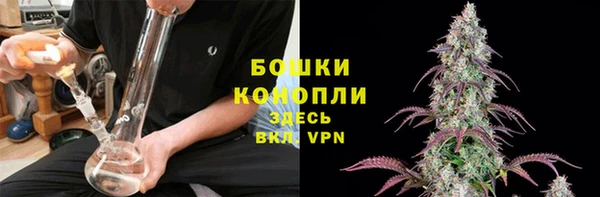 PSILOCYBIN Михайлов