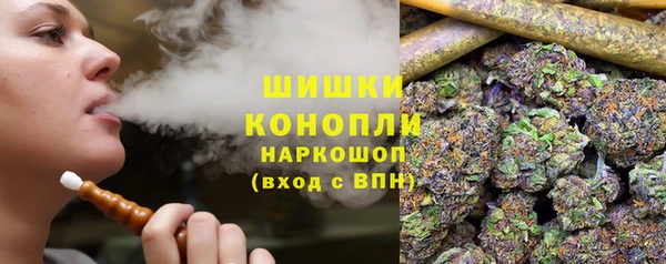 PSILOCYBIN Михайлов
