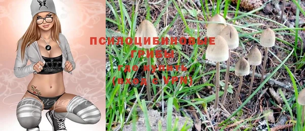 PSILOCYBIN Михайлов