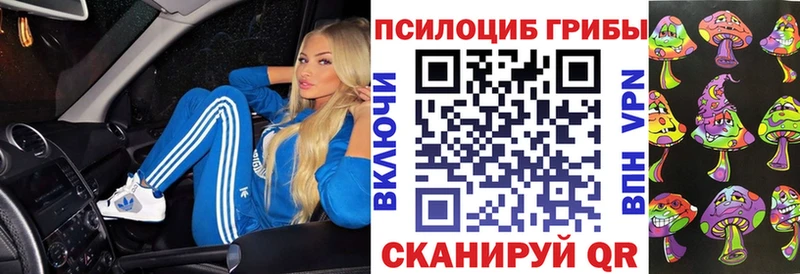 Купить  Уржум  Псилоцибиновые грибы Psilocybe 